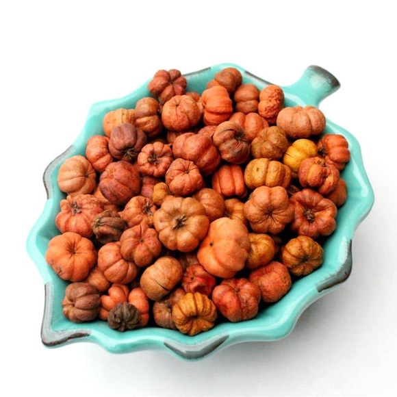 Mini Pumpkin Potpourri || Artisan Made || USA - Picture 3 of 5